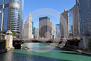 Chicago River City View
