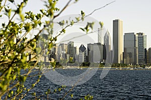 View of Chicago and Lake Michigan