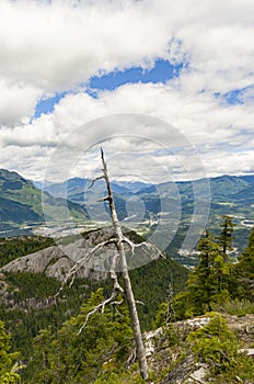 View from Chief Lookout Platform Squamish, British Columbia