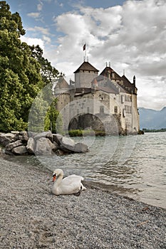 View of Chillon Castle. Switzerland
