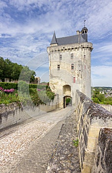 View of Chinon in Loire valley in France