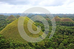 View of the Chocolate Hills, Bohol island