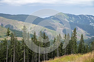 View from Chopok - Low Tatras, Slovakia. Liptov, beautiful.