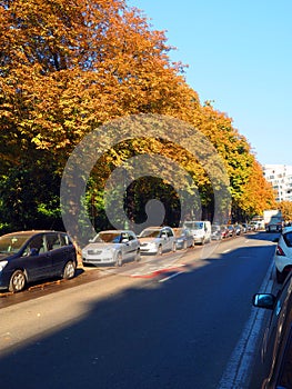 View Cinquantenaire Park on Avenue de l'Yser Brussels Belgium E