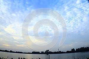 View at Cipondoh Lake