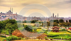 View of the Citadel with Muhammad Ali Mosque from Al-Azhar Park photo
