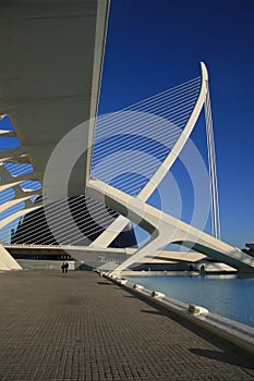View the City of Arts and Sciences