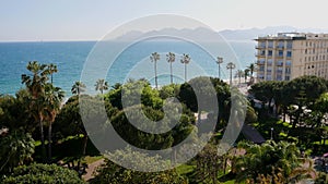 View of the city of Cannes, palm trees, yachts and azure sky