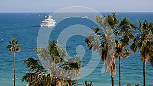 View of the city of Cannes, palm trees, yachts and azure sky
