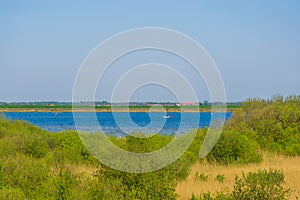 View on the city from the dunes of Tholen, popular holiday location in zeeland, the netherlands