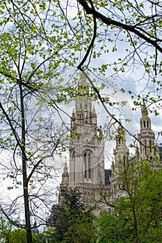 View of the City Hall clock tower through the tree branches