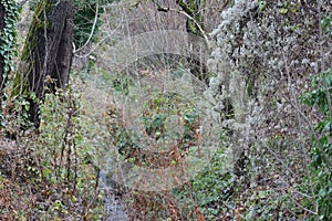 View into the City moat