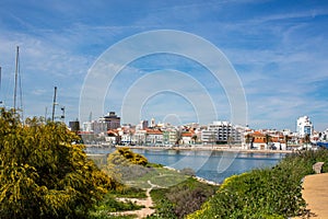 View of the city of Portimao from the opposite bank across the river through the flowering trees of mimosa in the winter. Portugal