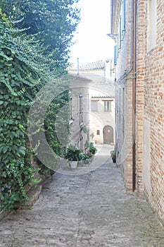 View of the city of Recanati