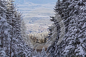 View of the city of Sofia from the mountain Vitosha.