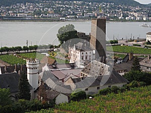 View of the city and vineyards from the Niederwald Memorial near the German Ruedesheim