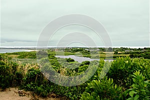 View from Clay Head