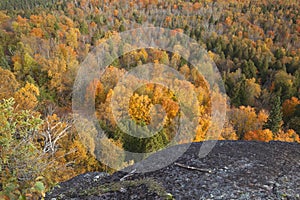 View from cliff of fall color in trees at Oberg Mountain in Minn