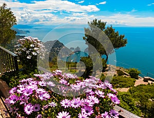 View from a cliff on the island of Capri, Italy, and rocks in sea