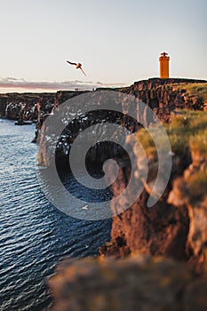 View from cliff Svortuloft Lighthouse in Snaefellsjokull National Park, Iceland