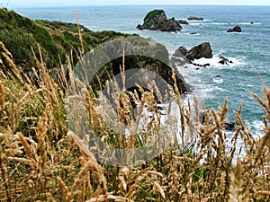 View from the cliffs at Cape Foul Wind