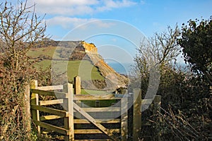 View of the cliffs at Salcombe Regis beach from the South West Coastal path on Salcombe Hill cliff above Sidmouth, East Devon