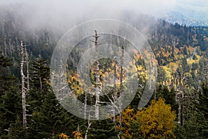 View at Clingmans Dome of Great Smoky Mountains NP