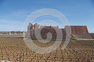 View of the Clos Vougeot