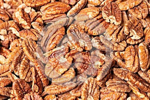 View closeup of tasty salted pecan nuts