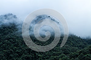 Sobre el nube la lluvia Bosque en la jungla en región viajar aventura en nubes más alto la lluvia Bosque hermoso 