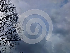 a view of a cloudy sky in the afternoon in a park