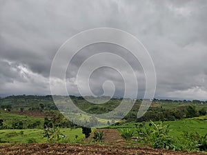 the view of the cloudy sky and the land growing with plants