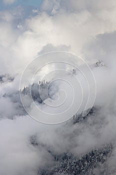 View of cloudy weather over wooded snowy slopes covered by fog and clouds. Landscape in the winter in the mountains.