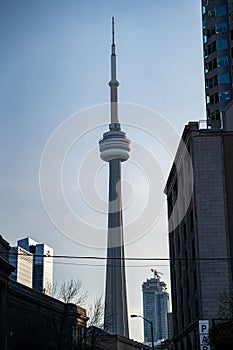 View of the CN Tower from Front Street photo