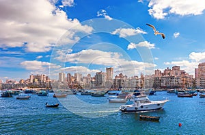 View on the coast of Alexandria, typical buildings and the Mediterranean sea of Egypt