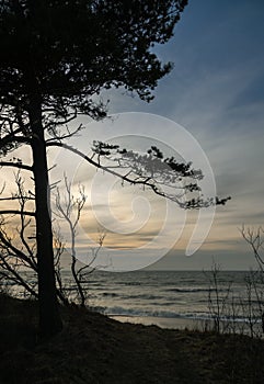 View of the coast of Baltic sea.