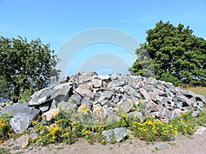 View of coast of Baltic sea, stones, trees and flowers, summer Helsinki