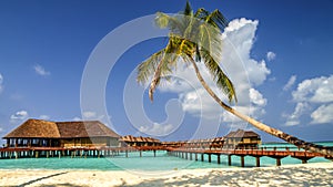 view of the coast of irufushi island with water bungalows, maldives