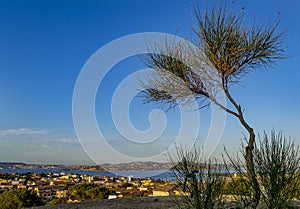 View of the coast in Palau Olbia, Sardinia, Italy.