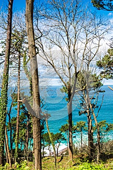 View of the coast of San Sebastian