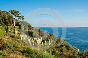 View of coast and sea in Torquay, South Devon