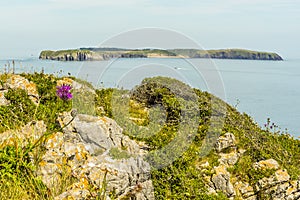 A view from the coastal path at Lydstep, Wales across the bay to Caldey island home to Cistercian Monks