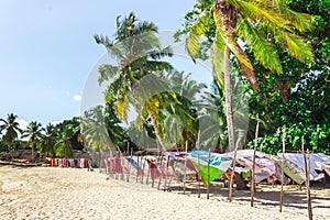 View of coastline of Iranja Island, Nosy Iranja lined with palm trees and boats floating in the sea, Madagascar