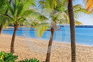 View of the coastline of the South China Sea through palm trees. Sanya China. Park Heavenly Grottoes