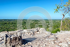 View from the Coba Pyramid