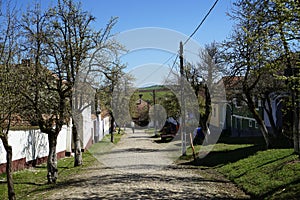 View of cobbled srteet of Viscri village of Transilvania photo