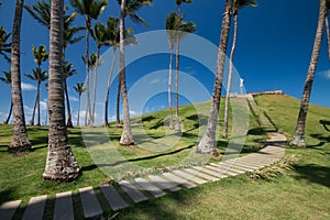 View of Coconut trees in Morro do Cristo in Barra district in Salvador Bahia Brazil photo