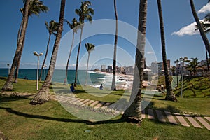 View of Coconut trees in Morro do Cristo in Barra district in Salvador Bahia Brazil photo