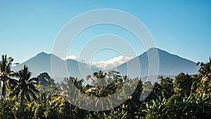 View of coconut trees and mountains in the morning when the weather is clear