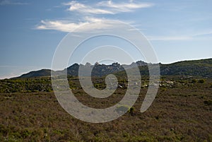 View of Codoleddu plateau and his horses